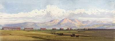 Park of the aqueducts with herds, Rome - Carelli Gabriele